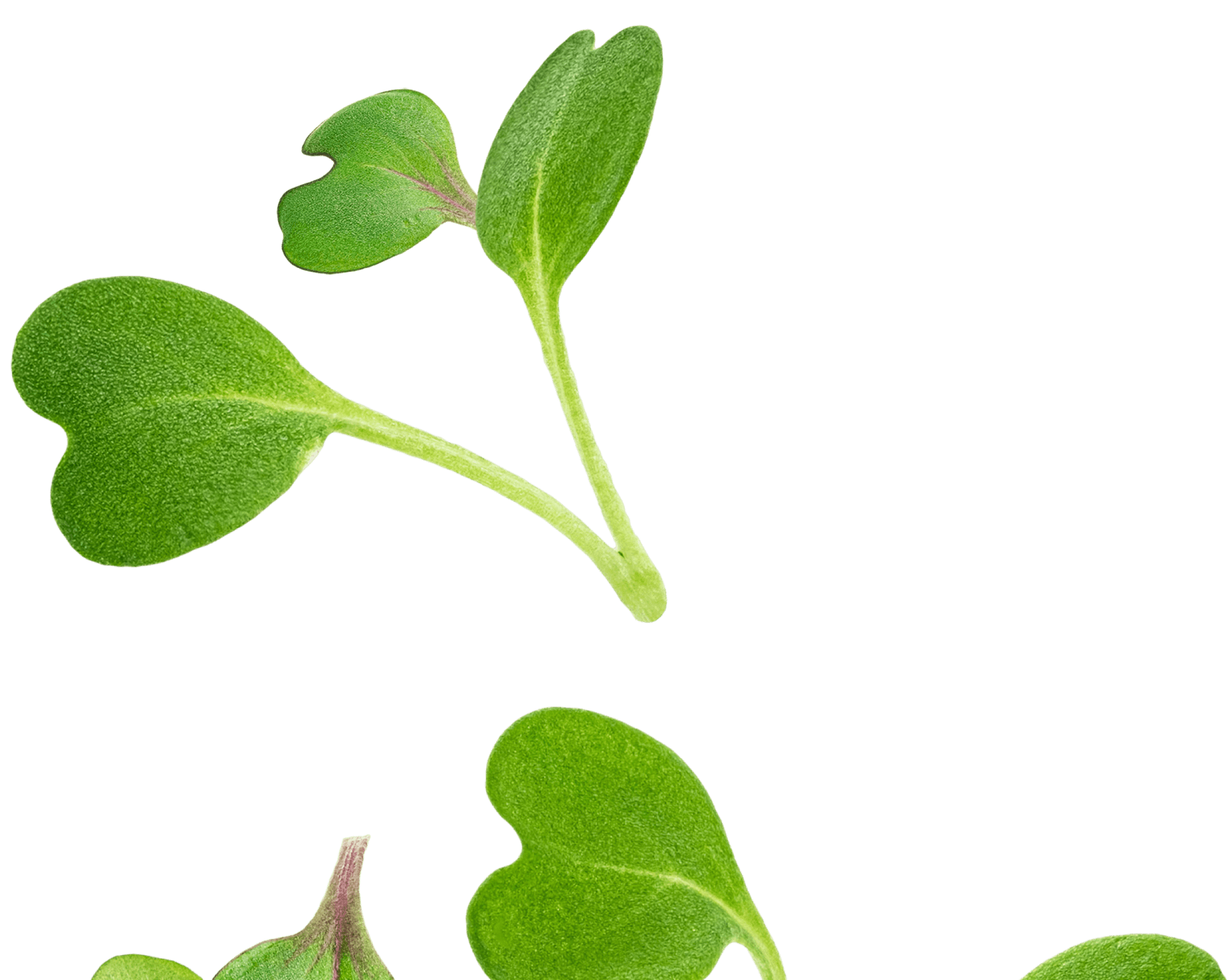 NutriMed Biosciences®